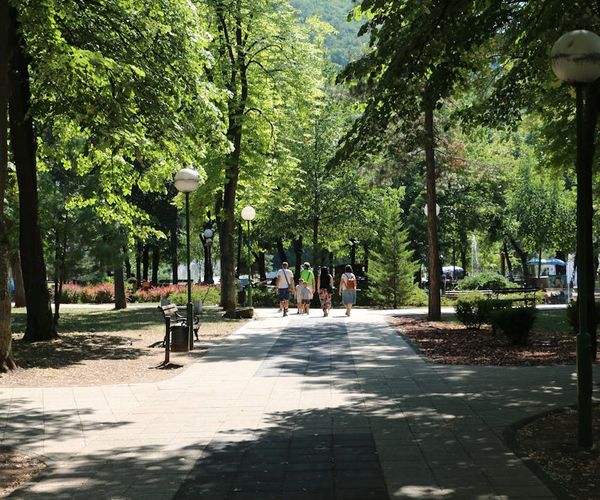 A group of people walking mindfully on a path through a park.
